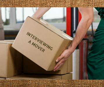 person moving a box interviewing a mover